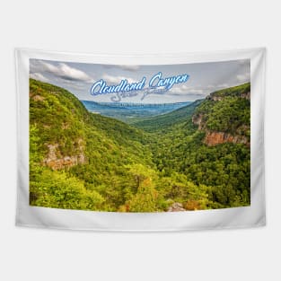 Cloudland Canyon State Park Tapestry