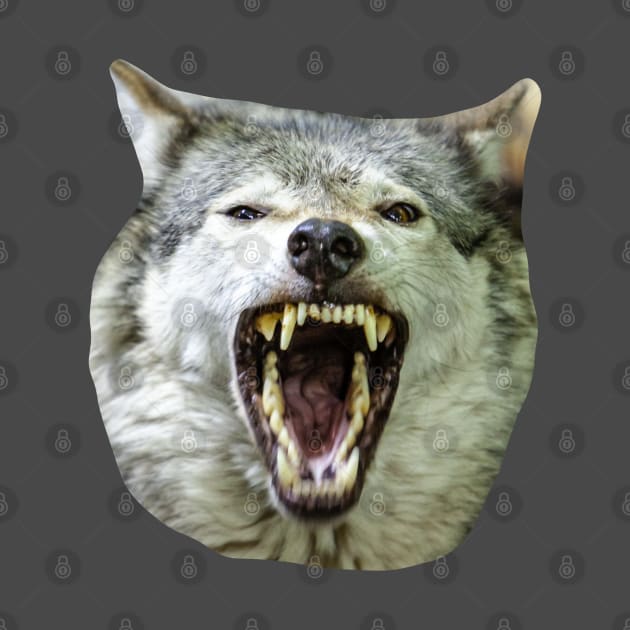 Snarling Grey Wolf by dalyndigaital2@gmail.com