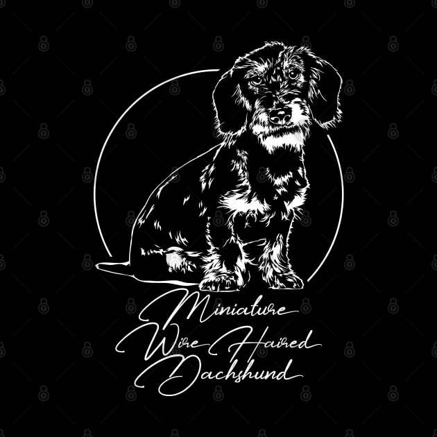 Funny Miniature Wire Haired Dachshund dog portrait by wilsigns