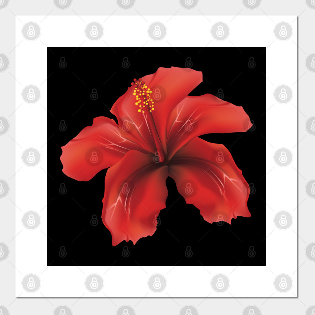 Red Hibiscus Red Hibiscus Posters And Art Prints Teepublic Uk