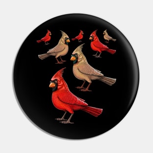 Red Cardinal birds Pin