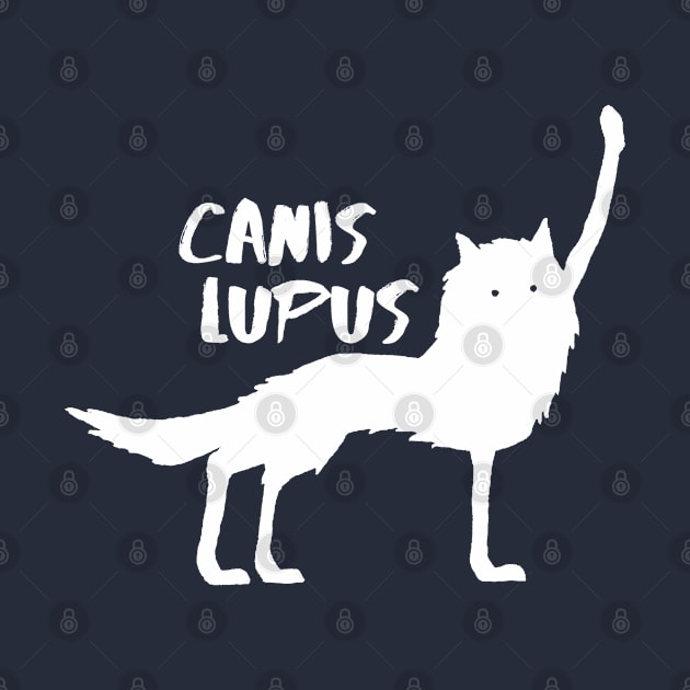 Canis Lupus by seancarolan