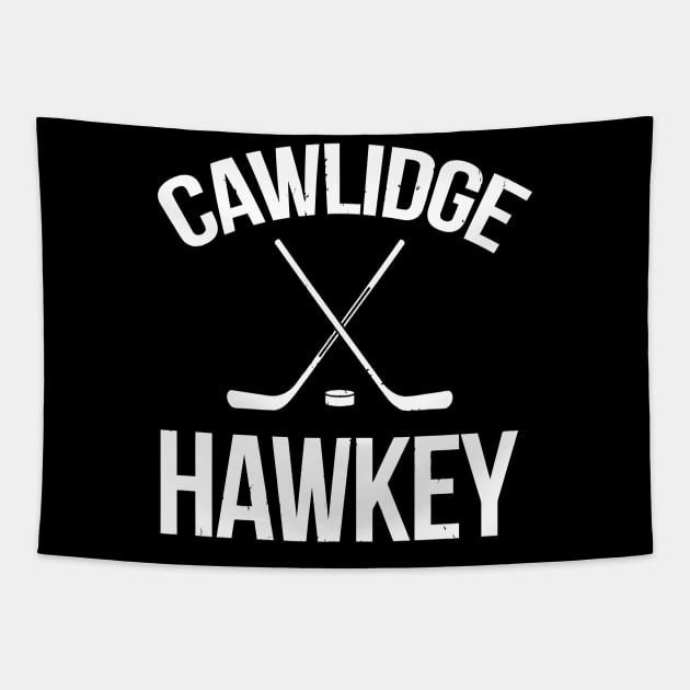 Cawlidge Hawkey Puck Stick Skating Rink Tapestry by tanambos