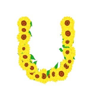 Sunflowers Initial Letter U (White Background) T-Shirt