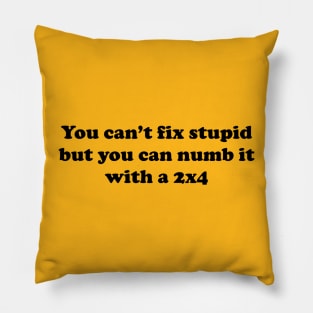 You can’t fix stupid but you can numb it with a 2x4 Pillow