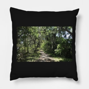 Florida Hike Pillow