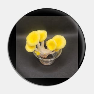 Yellow Oyster Mushroom in glass Pin