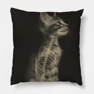 CAT Scan Pillow