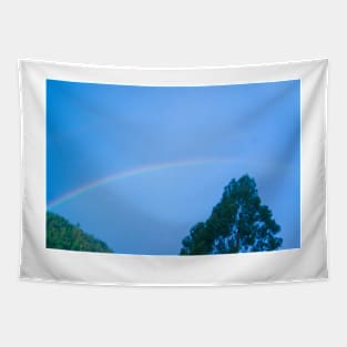 alb rainbow Tapestry