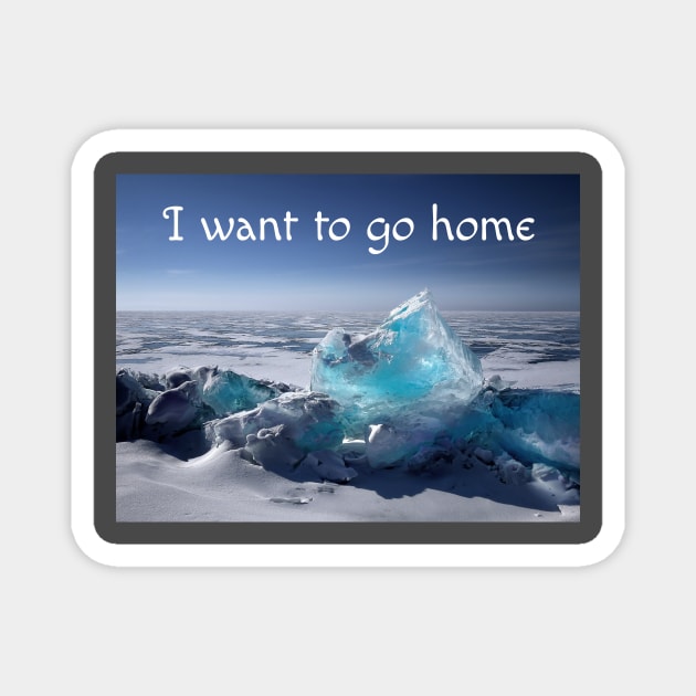 I want to go home Magnet by BrokenTrophies