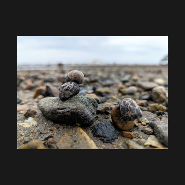 Snail and Rocks by searchlight