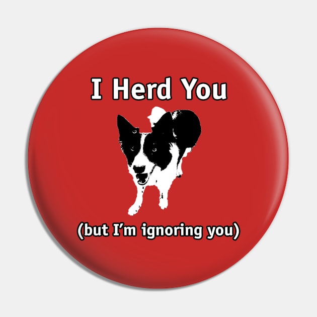 Border Collie - I herd you, but I'm ignoring you Pin by Dogs and other stuff