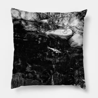 Reflecting Pond (Black & White) Pillow