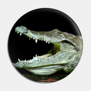Alligator / Swiss Artwork Photography Pin