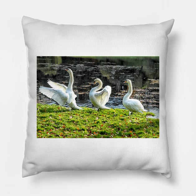 Three White Swans art - Follow the Leader Pillow by BarbaraGlebska
