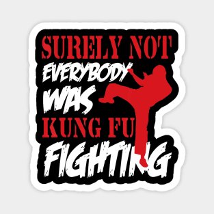 Surely Not Everybody Was Kung Fu Fighting Magnet