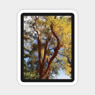 Autumn tree in the breeze Magnet