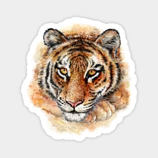 Panthera tigris -Tiger watercolor illustration Magnet