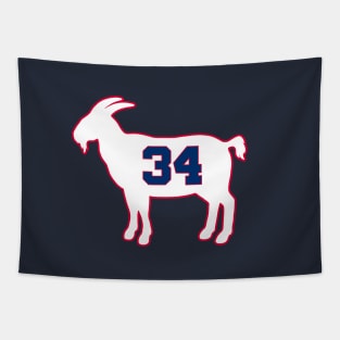 Charles Barkley Philadelphia Goat Qiangy Tapestry