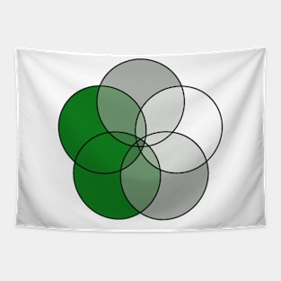 Grey-Aromantic Flag Tapestry