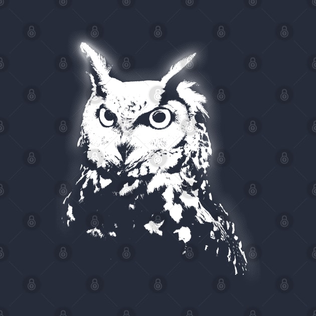 Black and white owl animal pet by mybeautypets