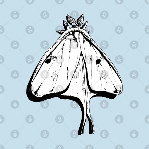 Luna Moth illustration by CreatorJ