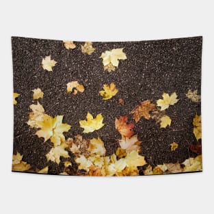 Gold yellow maple leaves autumn fall foliage asphalt road  nature Photograph Tapestry