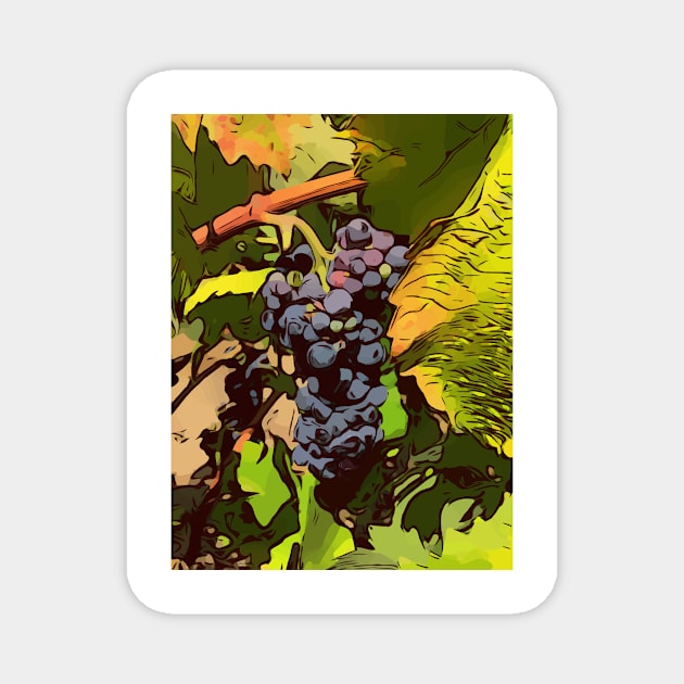 grapes on the vine Magnet by WelshDesigns