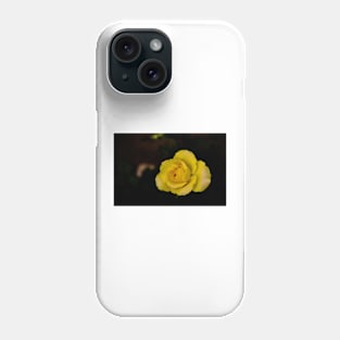 single yellow rose blossom on black background Phone Case