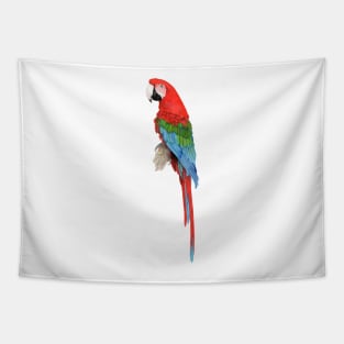 Red-and-green macaw Tapestry