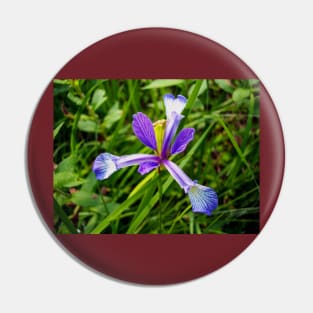 Iris Pin