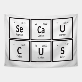 Secaucus | Periodic Table Tapestry