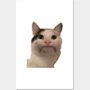 Beluga cat discord meme Photographic Print for Sale by anins-azuree