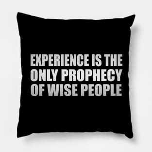 Experience is the only prophecy of wise people Pillow