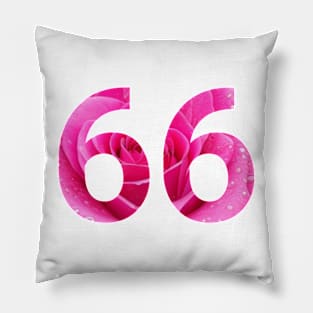 66 celebration day Pillow