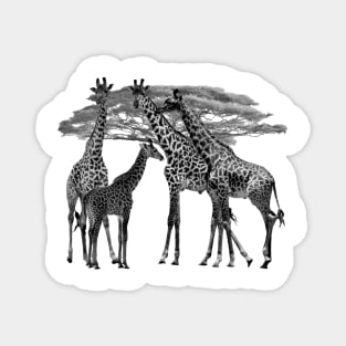 Giraffe - Family on Safari in Kenya / Africa Magnet