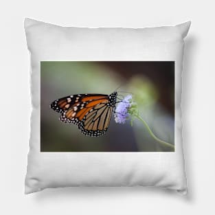 Migration Series VI Pillow