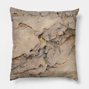 Beach side intimate rock Pillow