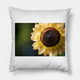 Sunflower Series V Pillow