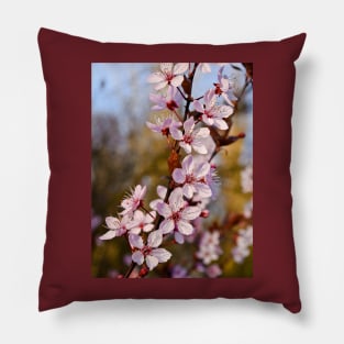 Almond Blossoms in Spring Pillow