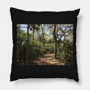 Florida Hike Pillow