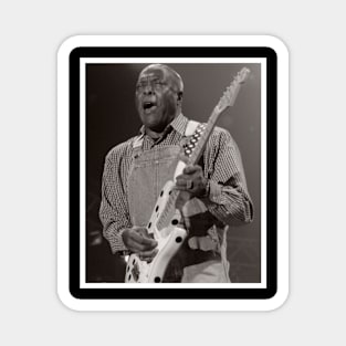 Buddy Guy Magnet