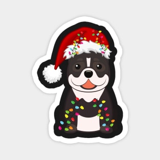 Pitbull Holiday Christmas Light - Funny Pibull Lights Christmas in Santa Hat Holiday Santa Magnet