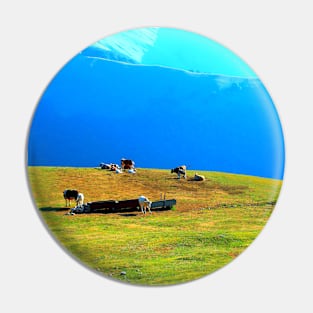 View at a Sibillini mountain ridge, meadows and bovines Pin