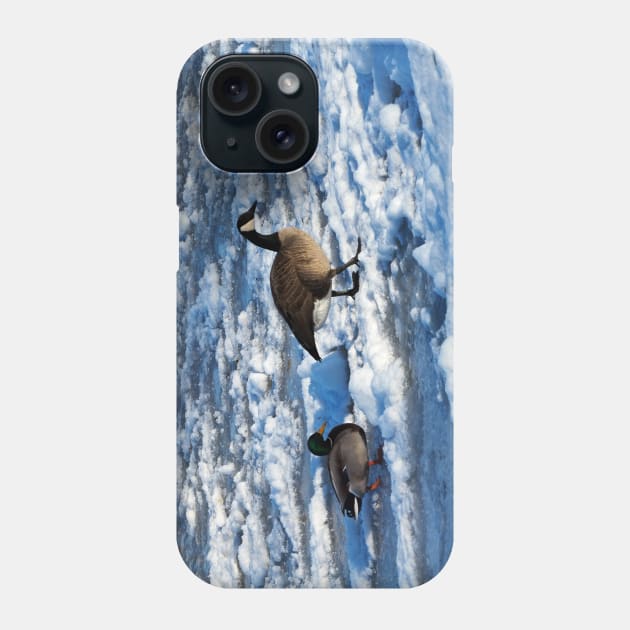 Mallard Duck and Canada Goose Going For A Walk In The Snow Phone Case by BackyardBirder