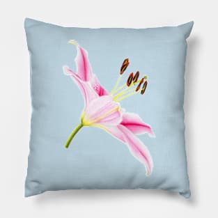 Pink lily Pillow