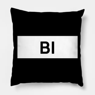 Bi Square Pillow