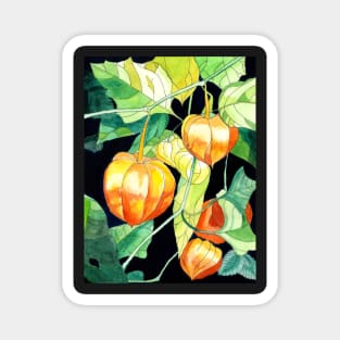 Chinese Lanterns watercolour flowers painting Magnet