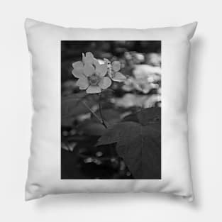 Glacier National Park Wild Flowers, black and white Pillow