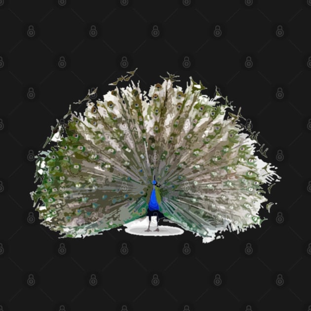 Peacock Digital Painting by gktb